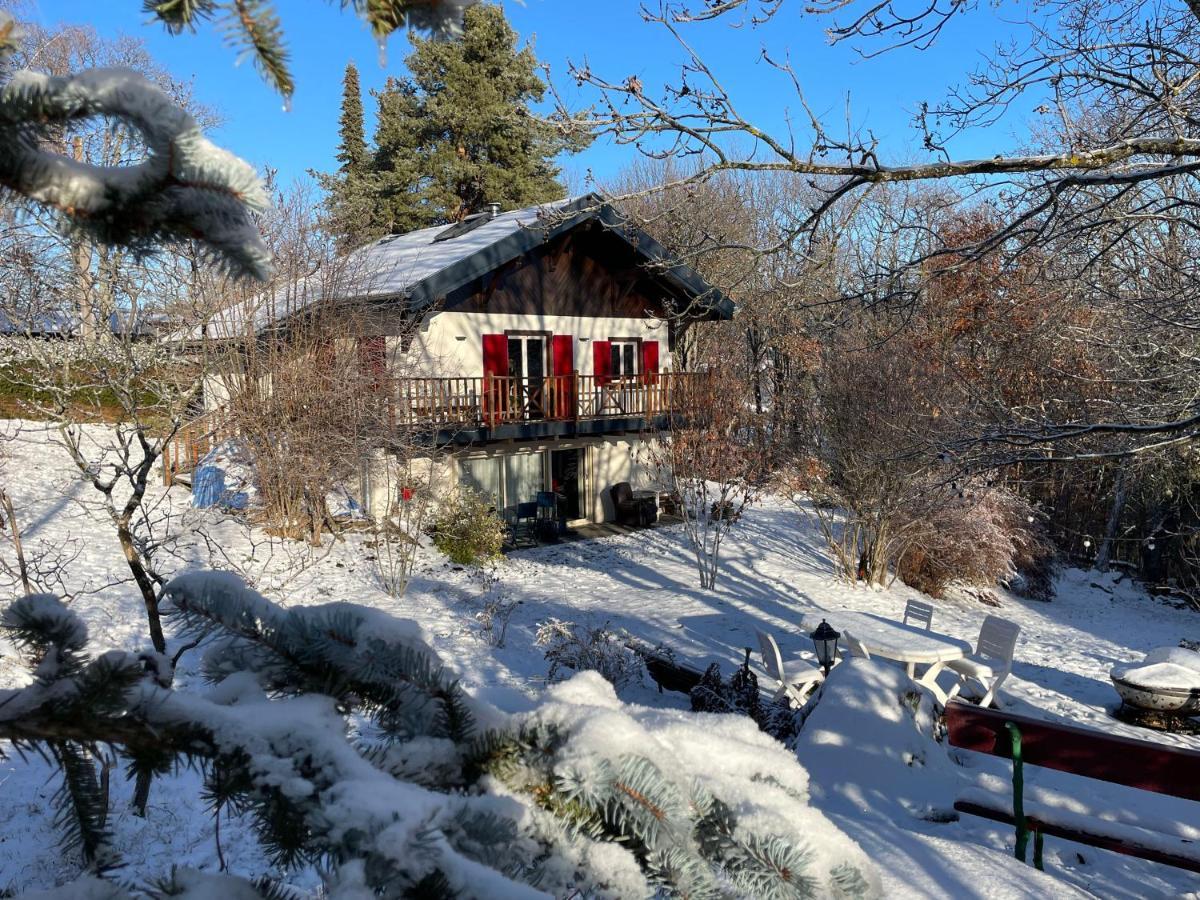 Chalet Les Airelles Labaroche Dış mekan fotoğraf